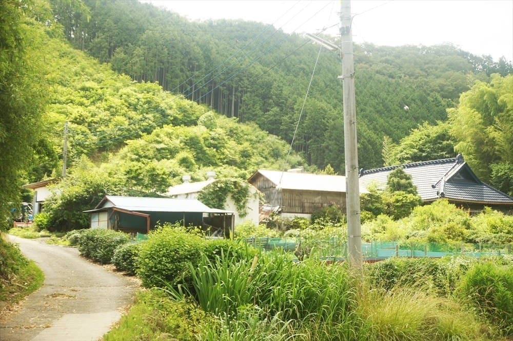 しらりょー　奥久慈水穂村